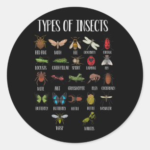 Types Of Insects Bug Identification Runder Aufkleber