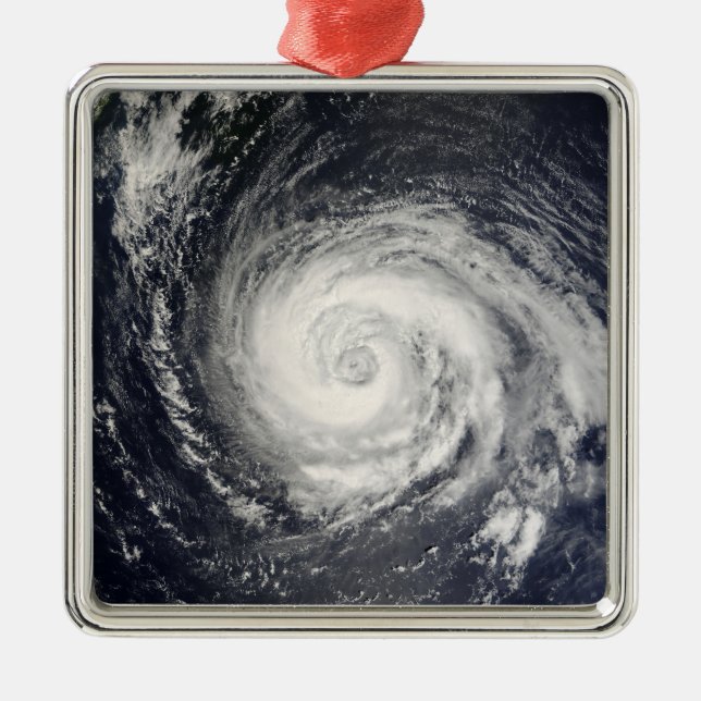 Typhoon Fitow Ornament Aus Metall (Vorne)