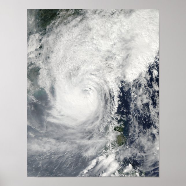 Typhoon Megi 3 Poster (Vorne)