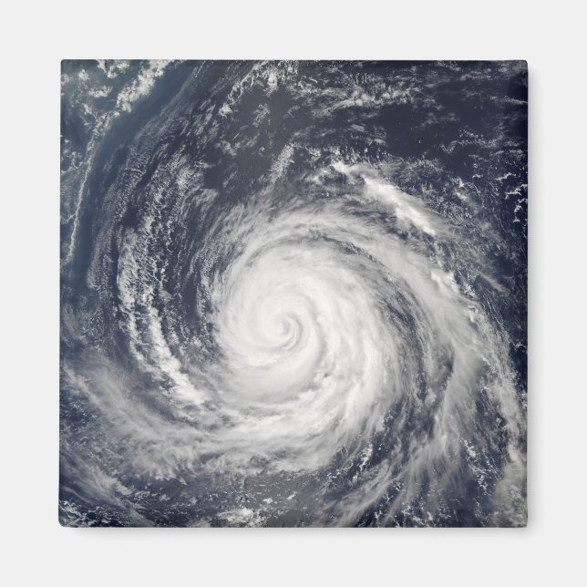 Typhoon Rusa Magnet (Vorne)