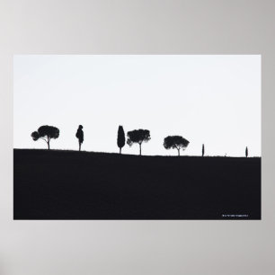 Typical trees in Tuscany Poster