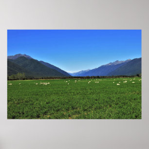 Typisch Neuseeland Poster