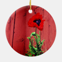 Typisch schwedische Falun-Farbe