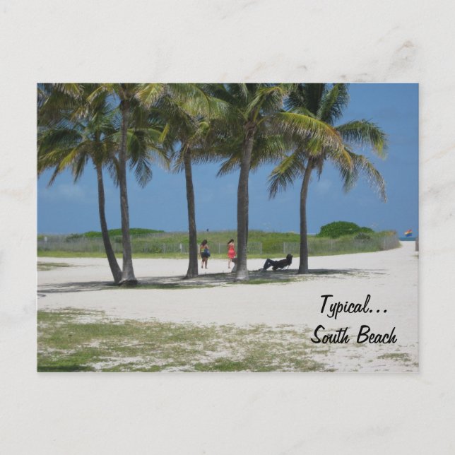 Typisch... South Beach Postkarte (Vorderseite)