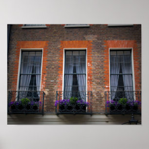 Typische Blume für Springtime-Fenster in London Poster