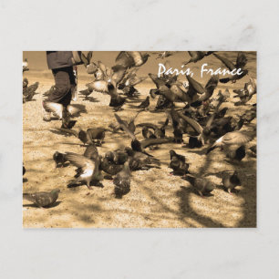 Typische Pariser Szene Postkarte