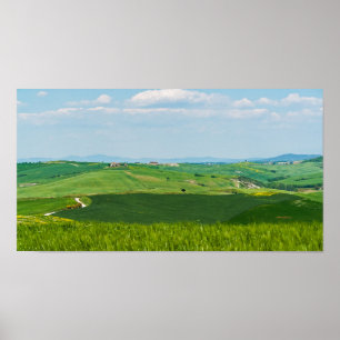 Typische Toskana-Landschaft Poster