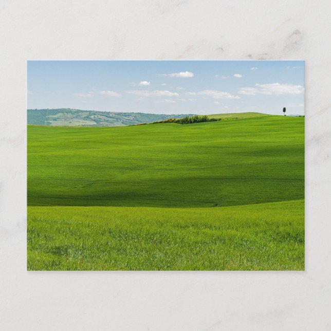 Typische toskanische Landschaft mit Hügeln - Itali Postkarte (Vorderseite)