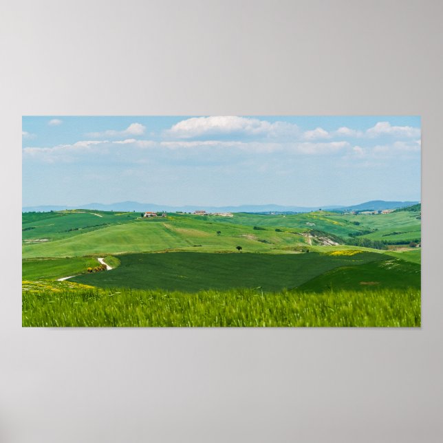 Typische toskanische Landschaft Poster (Vorne)