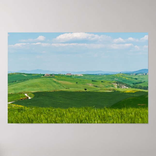 Typische toskanische Landschaft Poster (Vorne)