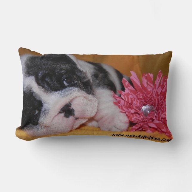 Tyrann-Liebe-Bulldoggen-Kissen Lendenkissen (Vorderseite)