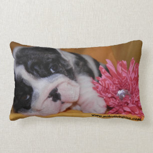 Tyrann-Liebe-Bulldoggen-Kissen Lendenkissen