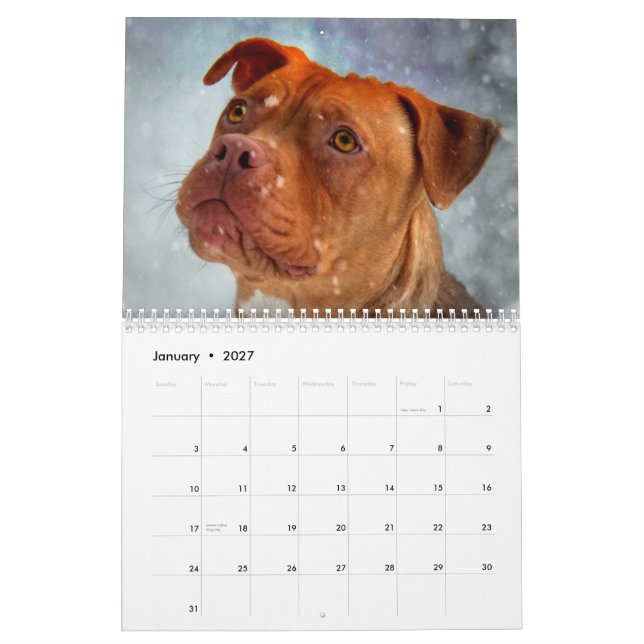 Tyrann-Schönheit Kalender (Jan 2027)