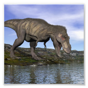 Tyrannosaurus rex Dinosaurier - 3D übertragen Fotodruck