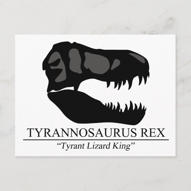 Tyrannosaurus Rex Skull Postkarte (Vorderseite)