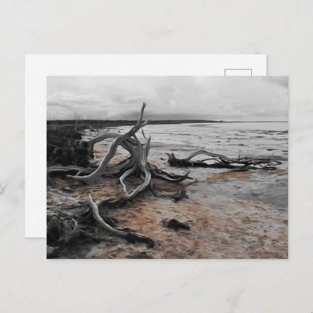 Tyrrell Naturschutzgebiete Postkarte (Vorne/Hinten)