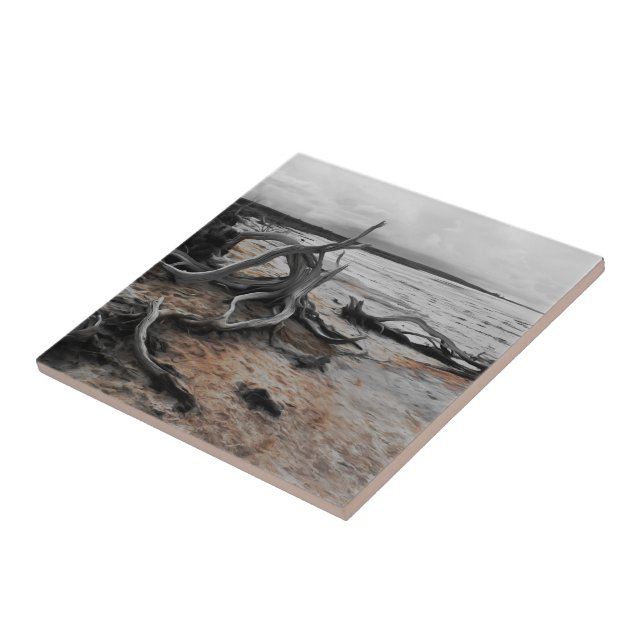 Tyrreller Naturschutzgebiete Fliese (Seite)