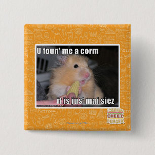 U fand mich ein Mais Button