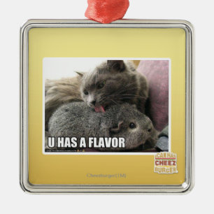 U HAT EIN AROMA SILBERNES ORNAMENT