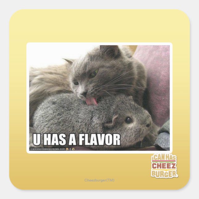 U HAT EINEN FLAVOR QUADRATISCHER AUFKLEBER (Vorderseite)
