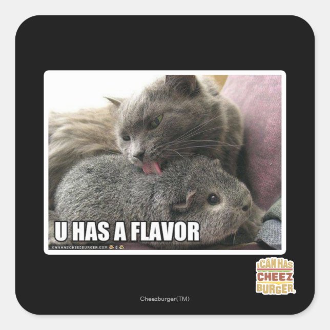 U HAT EINEN FLAVOR QUADRATISCHER AUFKLEBER (Vorderseite)