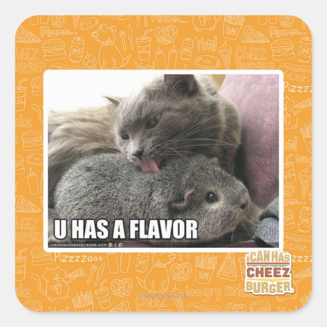 U HAT EINEN FLAVOR QUADRATISCHER AUFKLEBER (Vorderseite)