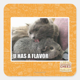 U HAT EINEN FLAVOR QUADRATISCHER AUFKLEBER