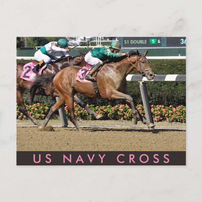 U-Marine Cross Postkarte (Vorderseite)