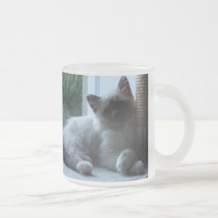 U' Onyx Cardiff Baby Blue 018 Mattglastasse