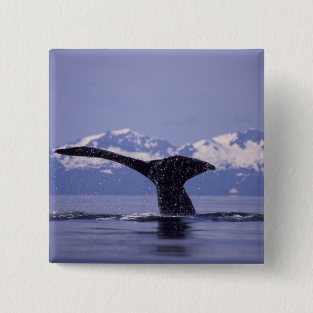 U.S.A., Alaska, Inside Passage Humpback Wal Button (Vorderseite)