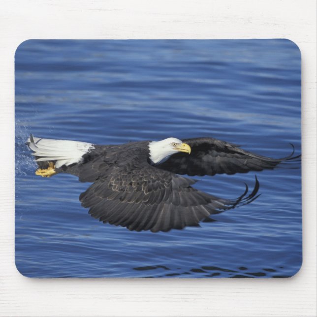 U.S.A., Alaska, Kenai Halbinsel Adler Mousepad (Vorne)