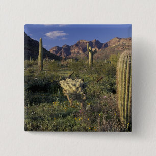 U.S.A., Arizona, Orgel Pipe National Monument. Button