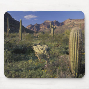 U.S.A., Arizona, Orgel Pipe National Monument. Mousepad