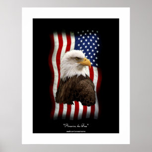 U.S. Flag & Bald Eagle Patriotic Poster Print