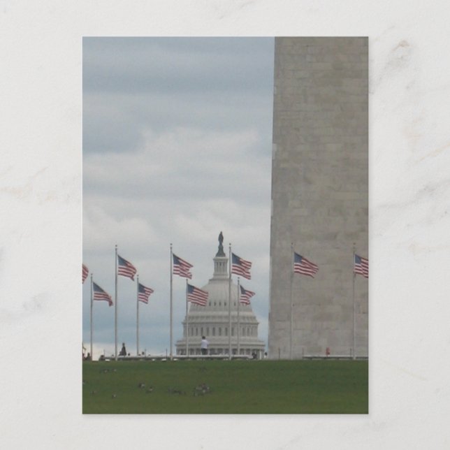 U.S. Hauptstadt und Washington Monument Postkarte (Vorderseite)