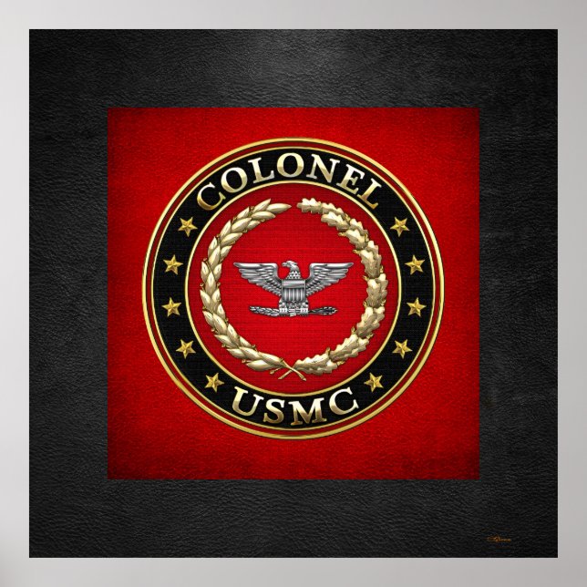 U.S. Marines: Oberst (USMC Col) [3D] Poster (Vorne)