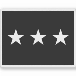 U.S. Space Force Brigadegeneral flag Aufkleber