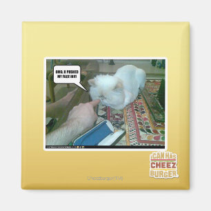 U stieß mir ins Gesicht! Magnet