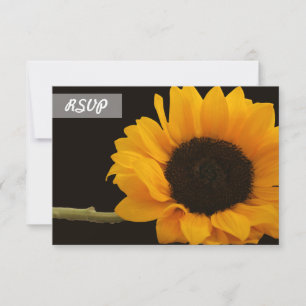 UAWG Sonnenblumen Foto auf Schwarzen Karten