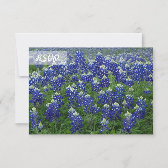 UAWG Texas Bluebonnets Foto auf Black Cards Einladung (Vorderseite)