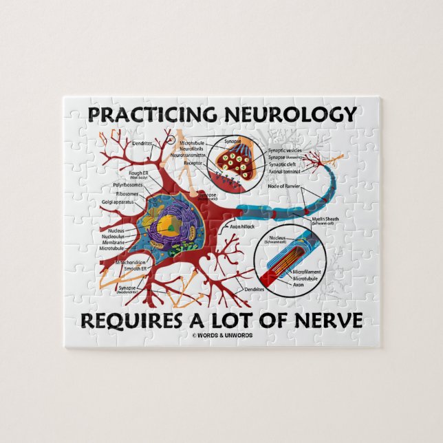 Übende Neurologie erfordert viel Nerv (Horizontal)
