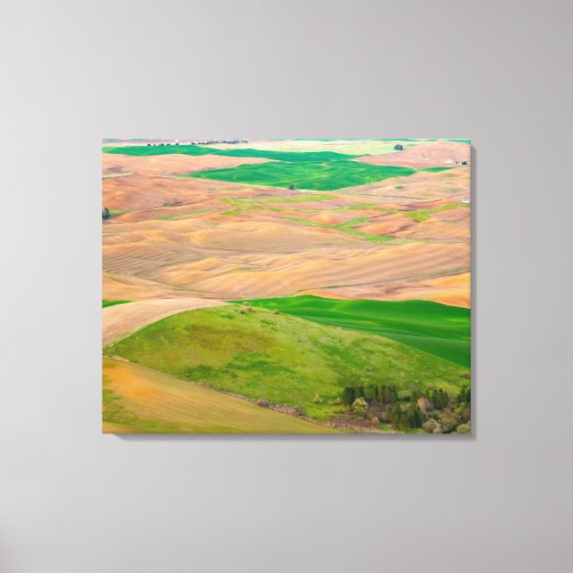 Über dem bemalten Palast von Steptoe Butte Leinwanddruck (Vorderseite)
