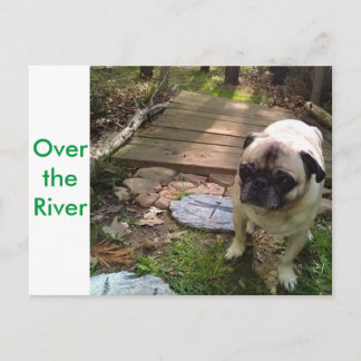 Über dem Fluss Postkarte