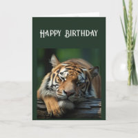 Über dem Hügel ernsthaft Big Cat Nickerchen