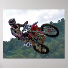 Über den Bäumen Poster