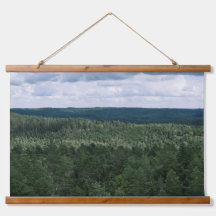 Über den Bäumen Wald und Wolken Landschaftsfoto
