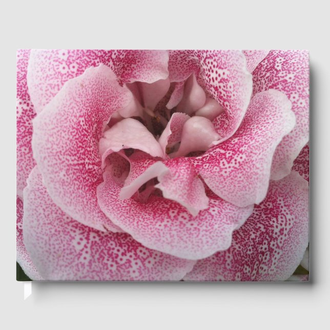 Über dich gästebuch (Vorderseite)