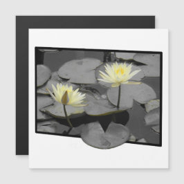 Über die Magnetkarte hinaus blühen