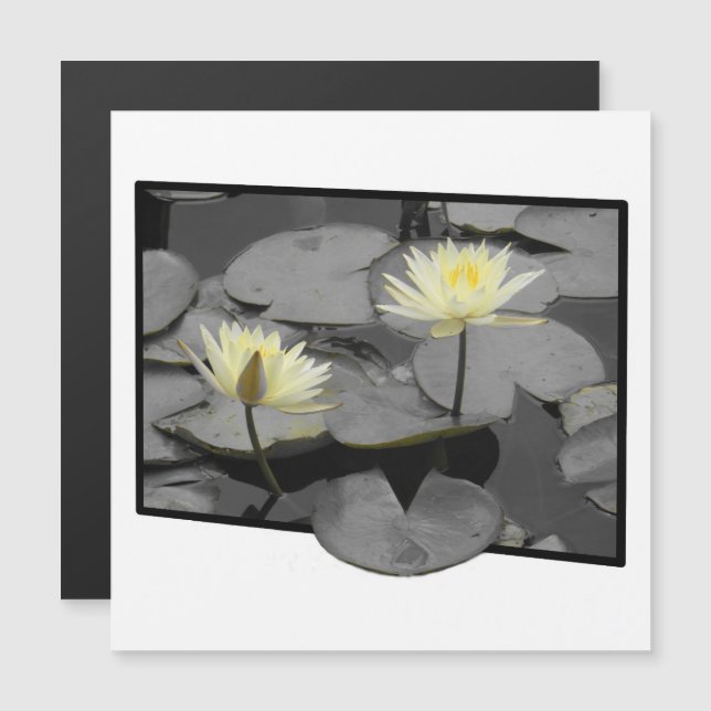 Über die Magnetkarte hinaus blühen (Vorne/Hinten)