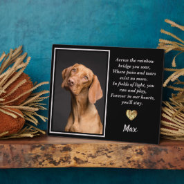Über die Regenbogenbrücke Vizsla Hund Fotoplatte
